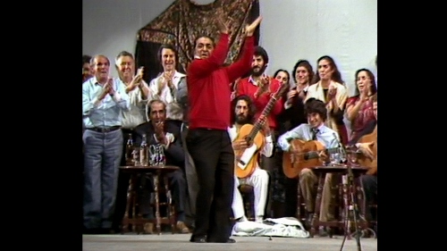 A scene from by Ricardo Pachón's 'Triana Pura y Pura'.