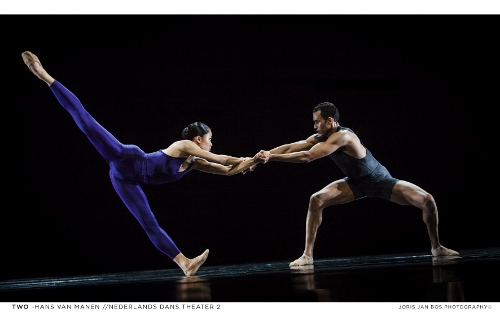 NDT2. Two of Hans van Manen. Dancers: Madoka Kariya and Alexander Anderson .