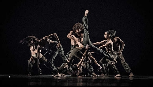 Danza Contemporánea de Cuba in George Céspedes' “R=V (el criterio del camello).”