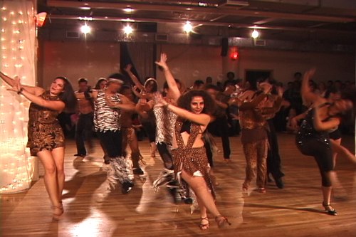 Stepping Out Studios April 25, 2008 Student Showcase Stepping Out Student Int'l. Company - Latin Jungle Fever (Samba/Rumba/Cha Cha) (Directed & Choreographed by Martina Kocichova) 