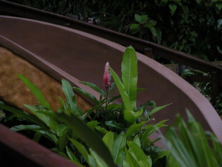 A flower with the slide in the background