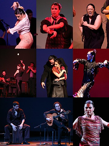 Images from the Los Angeles Flamenco Festival 2010