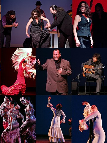 Images from the Los Angeles Flamenco Festival 2010